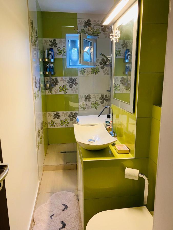 City Center Apartment Timisoara Exterior photo